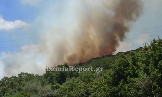 Οριοθετήθηκε η φωτιά στην Καμηλόβρυση Λαμίας - Εικόνες