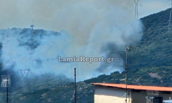 Φωτιά στην Καμηλόβρυση Λαμίας: Ήχησε το 112 - «Μείνετε σε ετοιμότητα»