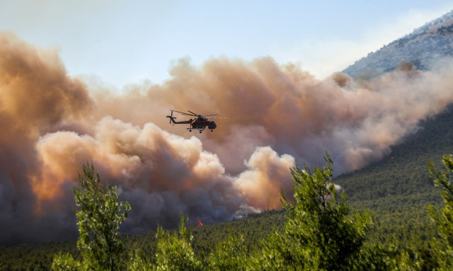 LIVE BLOG: Καίγονται σπίτια στη Φωκίδα, ανεξέλεγκτη η φωτιά στο Πόρτο Γερμενό