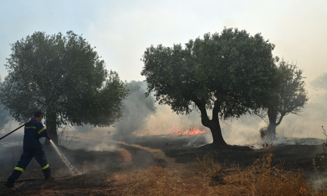 Κεφαλονιά: Νέα αναζωπύρωση στον Κατελειό -Ενισχύσεις από ηπειρωτική Ελλάδα, μία σύλληψη για εμπρησμό
