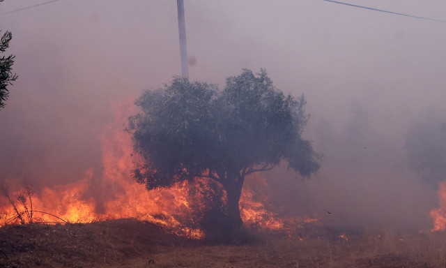 Φωτιά στα Μέγαρα: Κάτοικοι προσπαθούν με κάθε τρόπο να σώσουν τις περιουσίες τους