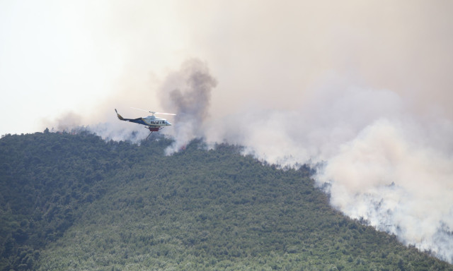 Φωτιά στη Βοιωτία: Με ριπές ανέμων έως και 70 χλμ/ώρα συνεχίζονται οι προσπάθειες κατάσβεσης