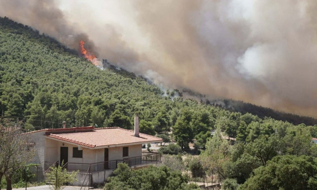 Φωτιά στην Αττικοβοιωτία: Καίγονται σπίτια στο Κρύο Πηγάδι - Μεγάλες αναζωπυρώσεις στα Βίλια