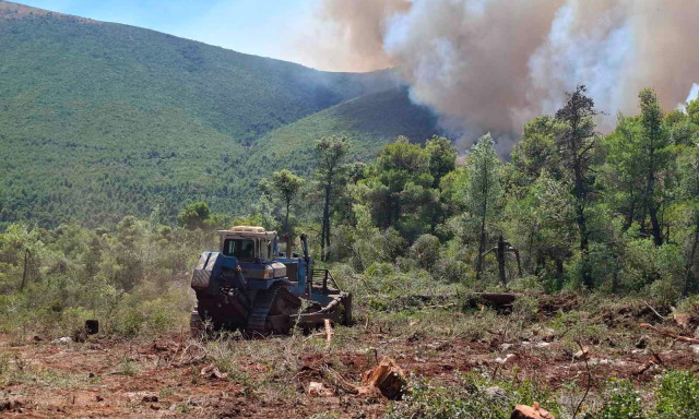 Φωτιά στην Αττικοβοιωτία: Δημιουργούν αντιπυρικές ζώνες για να συγκρατήσουν το πύρινο μέτωπο