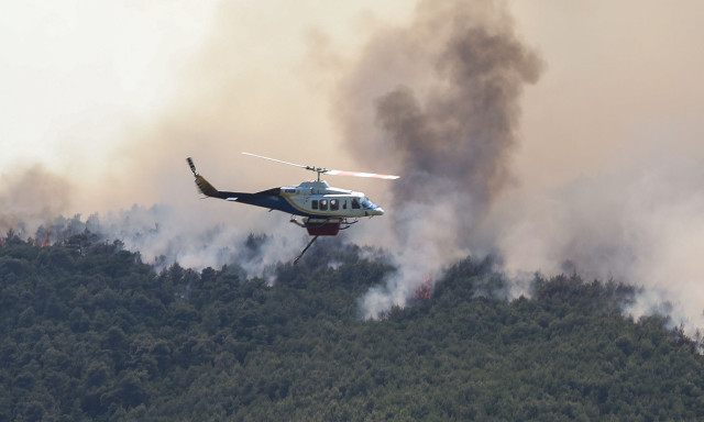 Φωτιές: Περισσότερες από 30 συλλήψεις για τις φωτιές των τελευταίων πέντε ημερών