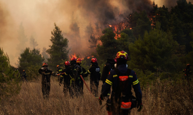 LIVE BLOG: Ώρες αγωνίας από την φωτιά στα Μέγαρα - Γύρισε ο άνεμος, εκκενώνεται η Ψάθα