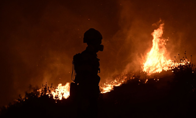 Φωτιά στη Δυτική Αττική - Αρτοποιός: Υπάρχει γενικότερη ύφεση - Μάχη με τα «καντηλάκια»