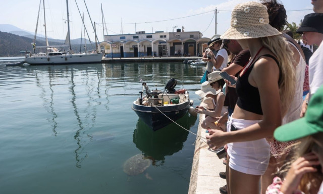 Κεφαλονιά: 48 ώρες χωρίς ρεύμα και νερό οι πυρόπληκτες περιοχές - Σε απόγνωση οι κάτοικοι