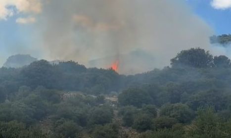 Φωτιά τώρα στη Λαμπεία Ηλείας: Επιχειρούν 7 αεροσκάφη