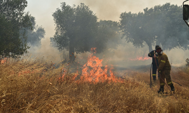 Κρήτη: Συνελήφθη ο υπεύθυνος ΔΕΔΔΗΕ Χανίων για τη φωτιά στην Ίμπρο