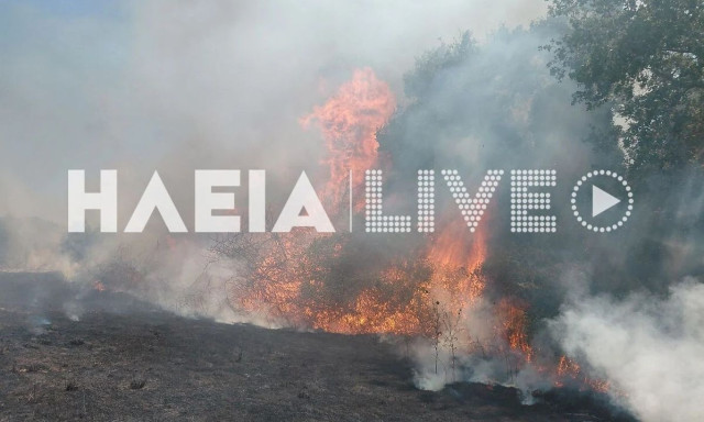 Ηλεία: Διπλό μέτωπο φωτιάς στη Δίβρη και το Τραγανό