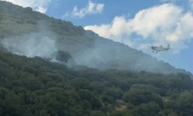 Ηλεία: Οριοθετήθηκε η φωτιά στη Δίβρη