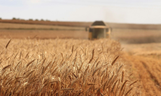 MyAGRO: Έναρξη της νέας ψηφιακής πλατφόρμας για αγροτικές και κτηνοτροφικές ενισχύσεις