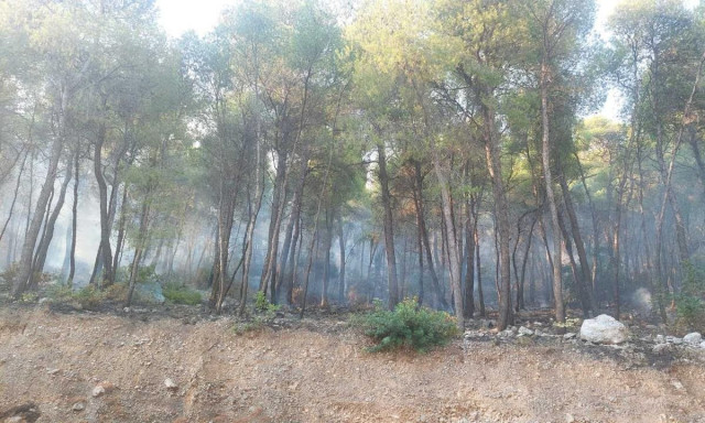 Φωτιά στη Δυτική Αττική: Πώς οι αντιπυρικές ζώνες έσωσαν τα Βίλια