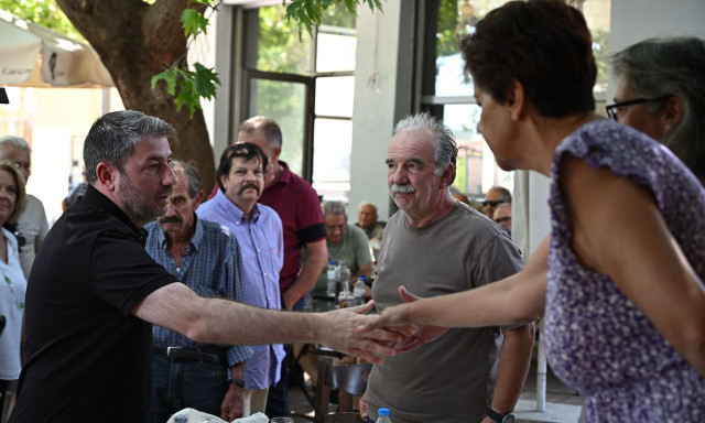 Ανδρουλάκης: «Η κλιματική κρίση δεν μπορεί να αποτελεί άλλοθι για τις αδυναμίες του κράτους»