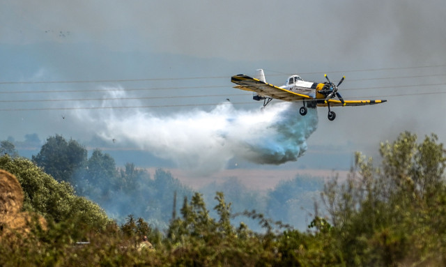Φωτιά: Τρεις νέες συλλήψεις από την Πυροσβεστική σε Αττική, Τρίκαλα και Πρέβεζα