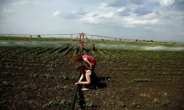 myAGRO: Άνοιξε η πλατφόρμα για την Ενιαία Αίτηση Ενίσχυσης του 2026