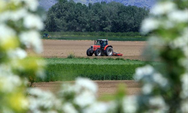 Αγρότες: Ενίσχυση έως 24,7 εκατ. ευρώ στους πληγέντες παραγωγούς – Άνοιξε η πλατφόρμα για αιτήσεις