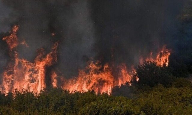 Κεφαλονιά: Προφυλακίστηκε ο 44χρονος για τη φωτιά στην Πάστρα -Οδηγείται στις φυλακές Αγίου Στεφάνου