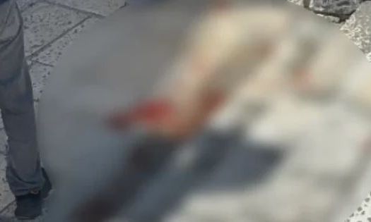 Σκιάθος: Άγρια συμπλοκή με λοστάρια, μαχαίρια και σφυριά – «Με ξυλοκόπησαν και με άφησαν αιμόφυρτο»