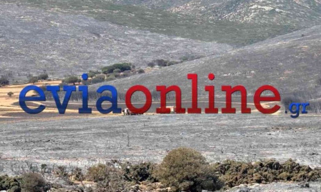 Σκύρος: Υπό μερικό έλεγχο η φωτιά στην Κολυμπάδα