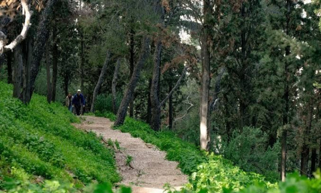 Κλειστός από τα μεσάνυχτα ο λόφος Φινόπουλου λόγω υψηλού κινδύνου πυρκαγιάς