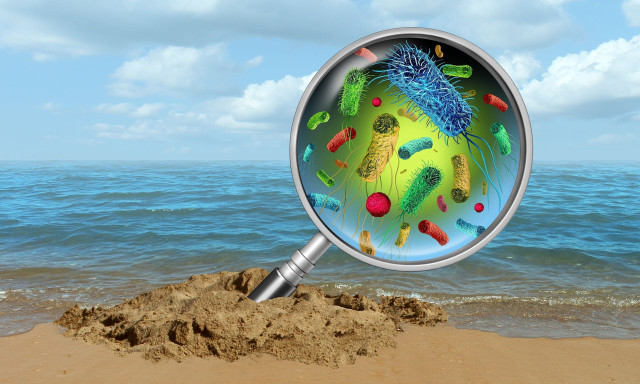 Η ζέστη ενισχύει το Vibrio και άλλα βακτήρια: Πώς να αποφύγετε λοιμώξεις σε παραλίες και πισίνες