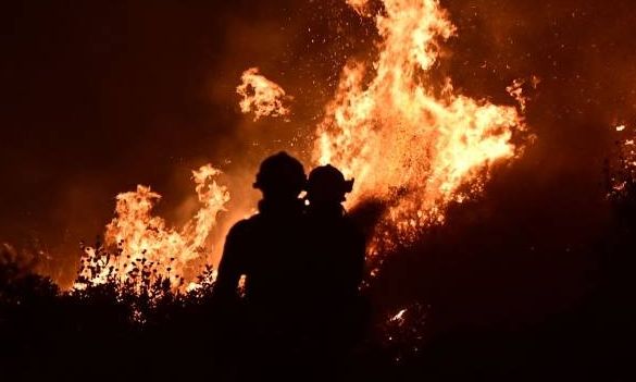 Φωτιά στη Χαλκίδα - Καίει σε περιοχή με χαμηλή βλάστηση