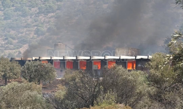 Φωτιά στον Κουβαρά: Εικόνες και βίντεο από την καμένη κτηνοτροφική μονάδα