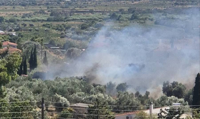 Φωτιά τώρα στο Πικέρμι – Μεγάλη κινητοποίηση της Πυροσβεστικής, ήχησε το «112» για ετοιμότητα