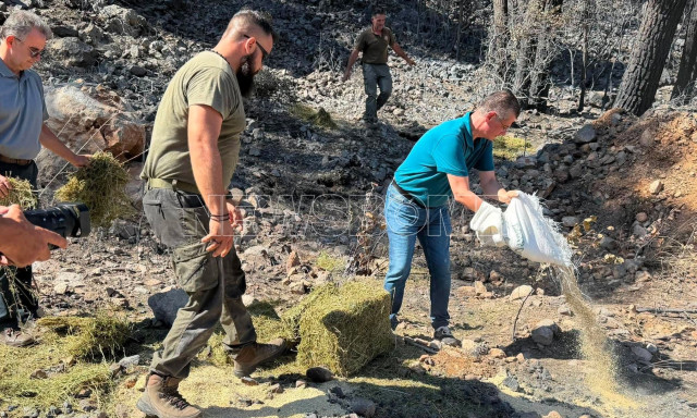 Πόρτο Γερμενό: 13 τόνοι τροφής και δεξαμενές νερού για την άγρια πανίδα στις πυρόπληκτες εκτάσεις