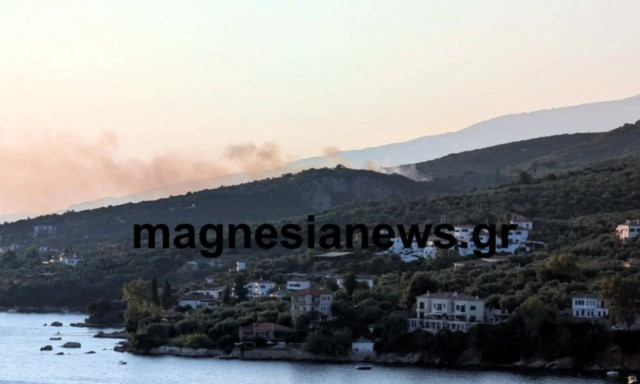 Φωτιά στην παραλία Πάου Νοτίου Πηλίου - Ήχησε το 112
