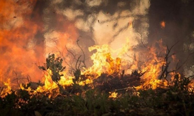 Ρέθυμνο: Πάνω από 95.000 στρέμματα κάηκαν μέσα σε μία δεκαετία
