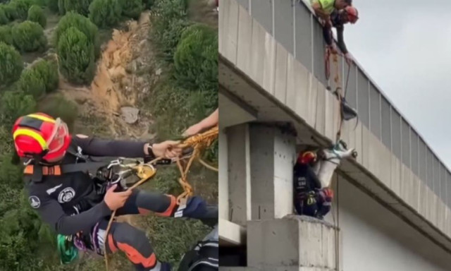 Τουρκία: Κατσίκα παγιδεύτηκε σε πυλώνα γέφυρας - Βίντεο από την επιχείρηση διάσωσης