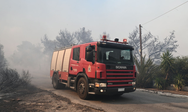 Χαλκιδική: Χωρίς ενργό μέτωπο η φωτιά στα Σημάντρα - Ενισχύθηκαν οι δυνάμεις