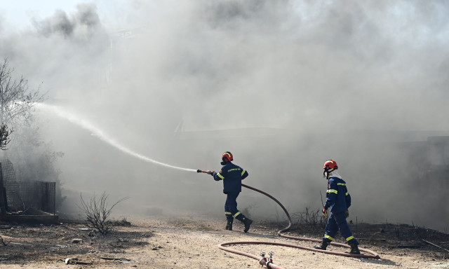 Φωτιά τώρα στη Σίβηρη Χαλκιδικής - Επιχειρούν 4 εναέρια μέσα