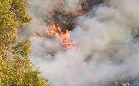 Φωτιά τώρα στην Ελάτεια Φθιώτιδας - Ήχησε το 112 για ετοιμότητα