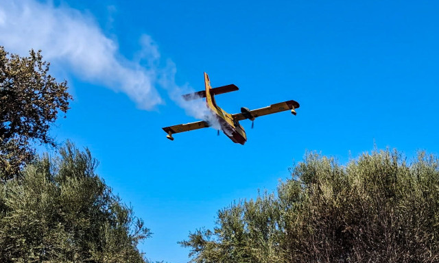 Φωτιά στη Βάρδα Ηλείας - Στη μάχη τρία εναέρια μέσα, απειλούνται θερμοκήπια και καλλιεργήσιμες εκτάσεις