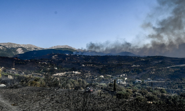 Αχαΐα: Έναν χρόνο μετά τη φωτιά, οι πυρόπληκτοι ακόμη περιμένουν τις αποζημιώσεις