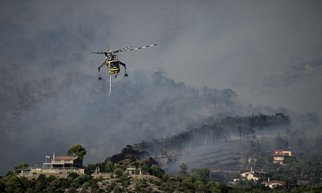 Βοιωτία: Ολοκληρώθηκε η πρώτη αυτοψία στον Άγιο Βασίλειο στο σημείο που ξεκίνησε η μεγάλη φωτιά
