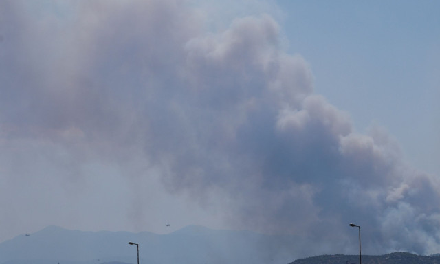 Φωτιά στη Σαλαμίνα - Δήμαρχος νησιού: Έχουν καεί σπίτια - Σε ετοιμότητα πλωτά μέσα για εκκενώσεις