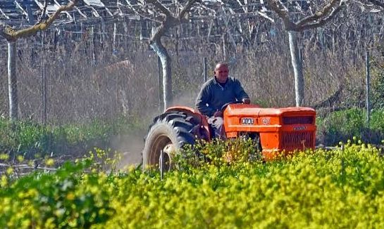 ΑΑΔΕ: Άνοιξε η εφαρμογή Transpay για τη δημοσιοποίηση των πληρωμών αγροτικών ενισχύσεων