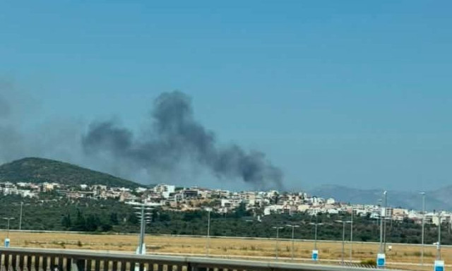 Χωρίς ενεργό μέτωπο η φωτιά στην Αργιθέα - Παραμένουν δυνάμεις στο σημείο