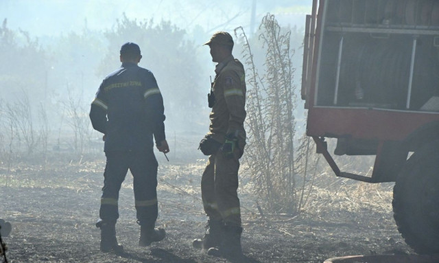 Τροιζήνα: Συνελήφθη 40χρονος για πυρκαγιά από πρόθεση - Εξετάζεται η εμπλοκή σε 9 ακόμη εμπρησμούς