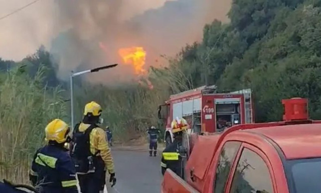 Φωτιά στο Ρέθυμνο:Η συγγνώμη του ιδιοκτήτη της βίλας - «Λυπάμαι βαθύτατα για κάθε δέντρο που κάηκε»