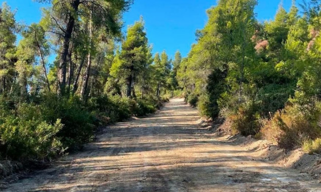 Γεωτεχνικοί Δημόσιοι Υπάλληλοι: «Το Antinero έχει μετρήσιμη αξία στην πρόληψη των πυρκαγιών»