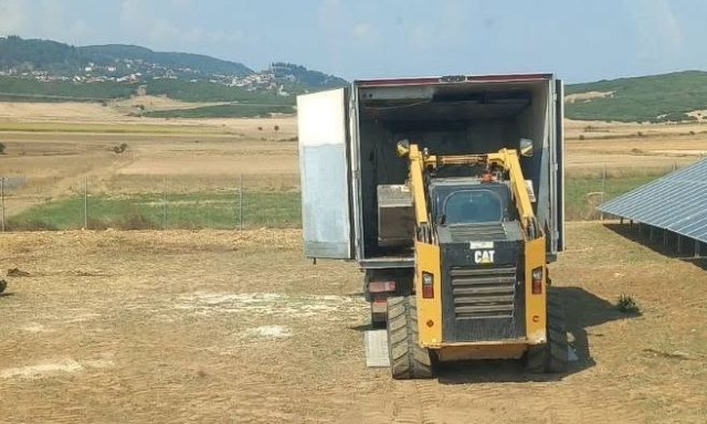 Δομοκός: Αγέλη λύκων επιτέθηκε σε κοπάδι - Περισσότερα από 30 πρόβατα νεκρά