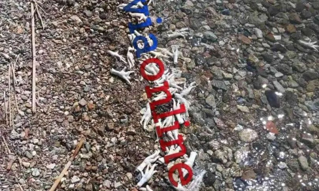 Απίστευτο περιστατικό στην Εύβοια:Χιλιάδες πόδια από κοτόπουλα και γαλοπούλες ξεβράστηκαν σε παραλία