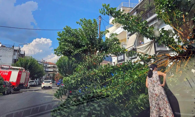 Ιωάννινα: Πτώσεις δέντρων και υλικές ζημιές έπειτα από ξαφνική καταιγίδα – Βίντεο