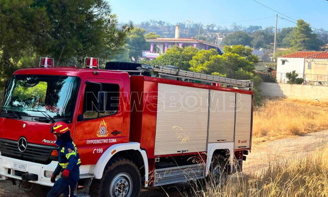 Φωτιές τώρα: Έξι πύρινα μέτωπα σε εξέλιξη - Μάχη με τις φλόγες σε Σαλαμίνα, Λαύριο, Βοιωτία, Κρήτη και Πέλλα